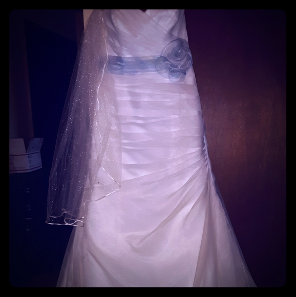 David's Bridal Dresses & Skirts - Davids Bridal Crystal Organza (SIZE 8)Bridal Gown